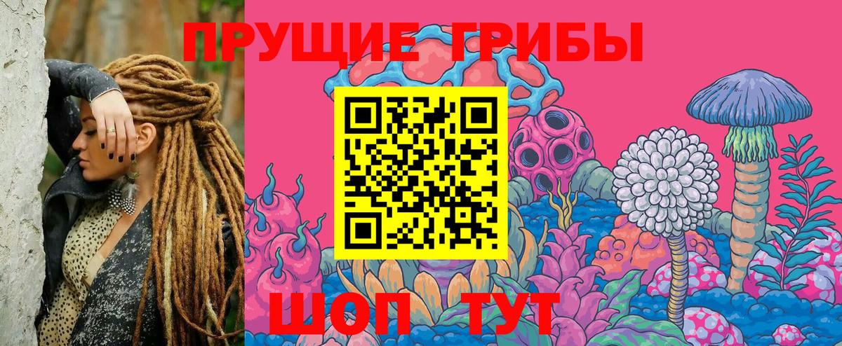 Галлюциногенные грибы GOLDEN TEACHER  как найти   Жигулёвск  Вход с VPN 